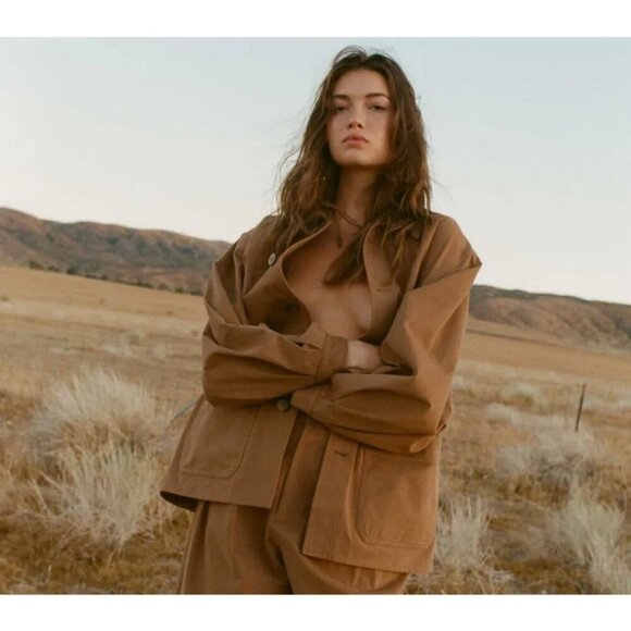 💕DOEN💕 Louvre Pant ~ High Waisted Pleated Ankle Pants Bark Brown 6 NWT - Picture 8 of 16